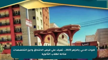 كليات الأدبي بالأزهر 2025.. تعرف على فرص الالتحاق وأبرز التخصصات متاحة لطلاب الثانوية